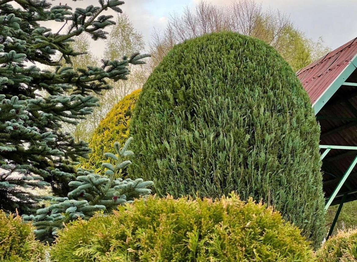 Domek Matylda- Kaszuby Villa Nowe Czaple  Exteriör bild